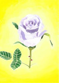 David Brocklehurst: Purple Rose 