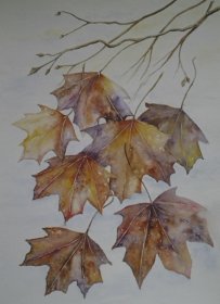  Christine Mounfield:  Falling Leaves" 