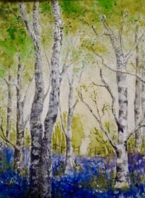  Christine Mounfield:  "Bluebells and Birches" 